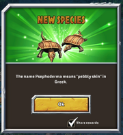 Psephoderma init message