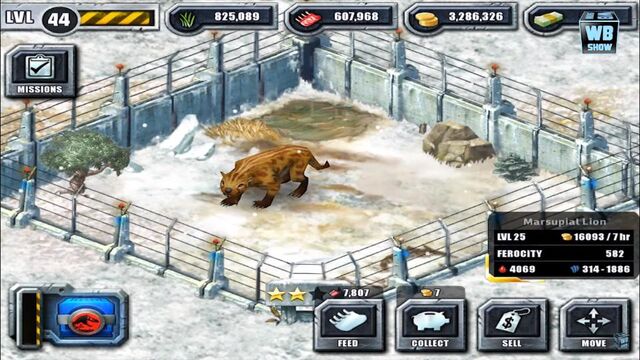 File:Lvl25lion.jpg