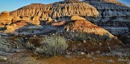 Hellcreek