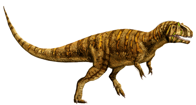 Datei:Metriacanthosaurus-detail-header.png