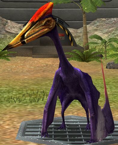 File:Zhejiangopterus lvl. 30.jpeg