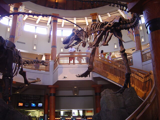 File:Discovcenter2.jpg