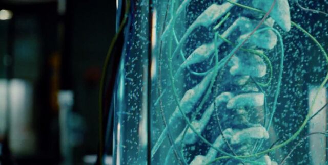 File:Jurassic-World-Trailer-Still-16-700x353.jpg
