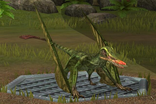 File:Rhamphorhynchus (16).jpg