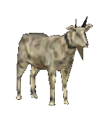 Goat JPOG.png
