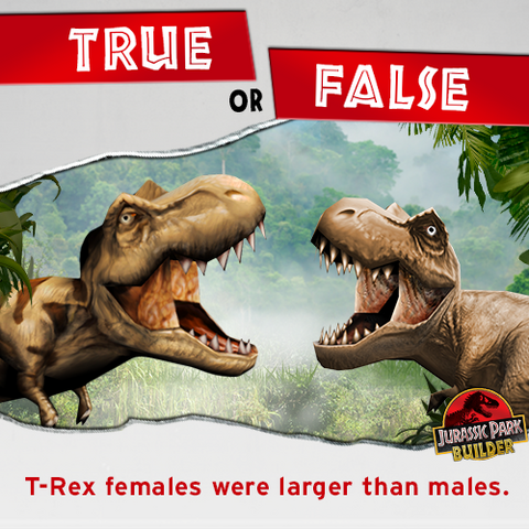 File:10153711 628288677260054 2014441547814453084 n.png
