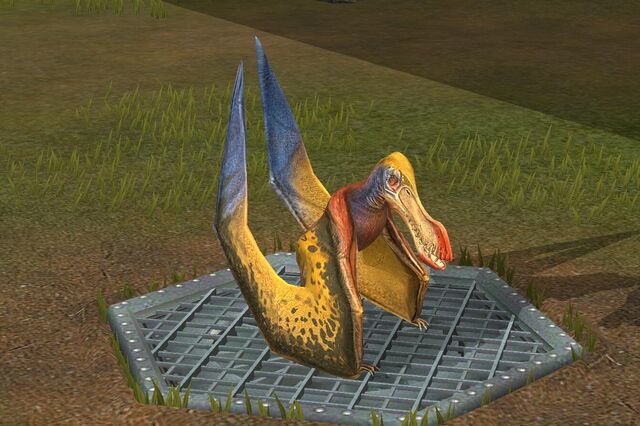 File:Coloborhynchus (16).jpg