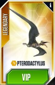 Pteradactylus