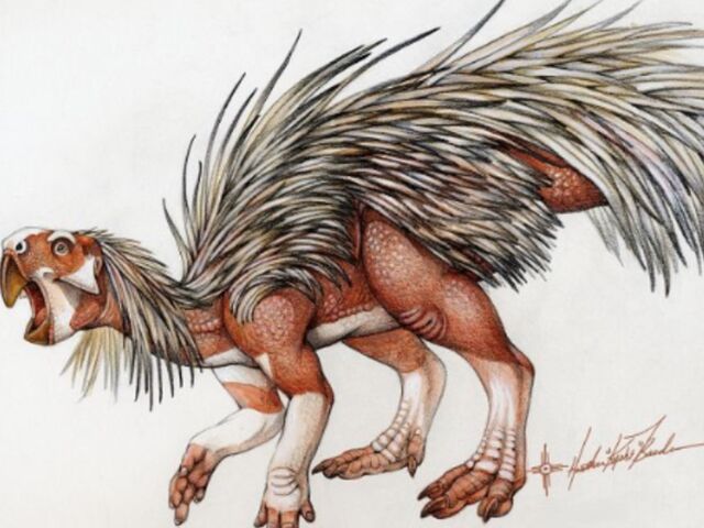 File:Featheredraptor9.jpg