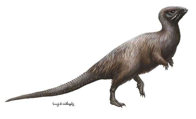 File:Kulindadromeus.jpg
