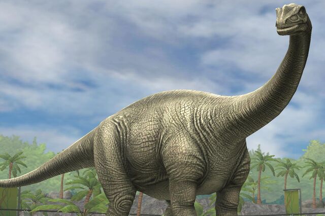 File:Shunosaurus Lii (30).jpg