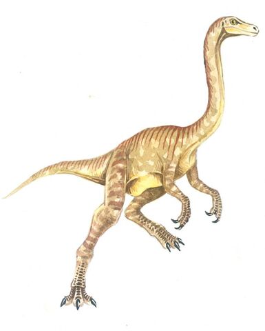 Archivo:Gallimimus451.jpg