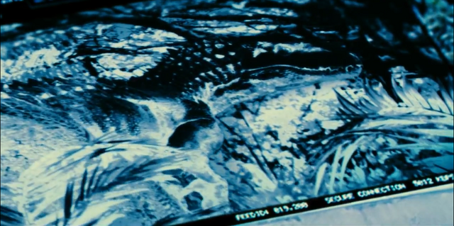 File:Indominus Rex (41).png