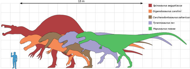 Datei:800px-Largesttheropods 2.svg.png