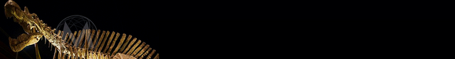 Datei:Banner JP Fossilbericht.png