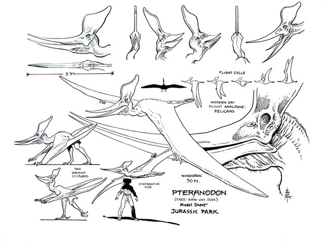 File:JPPteranodon.jpg