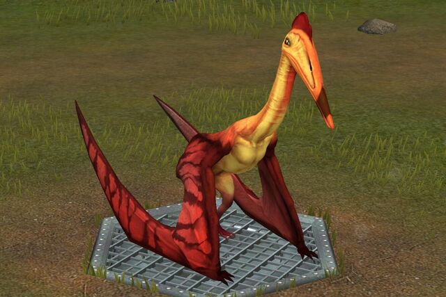 File:Hatzegopteryx (18).jpg