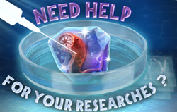 Ice DNA