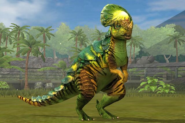 File:Pachy lvl 40.jpg