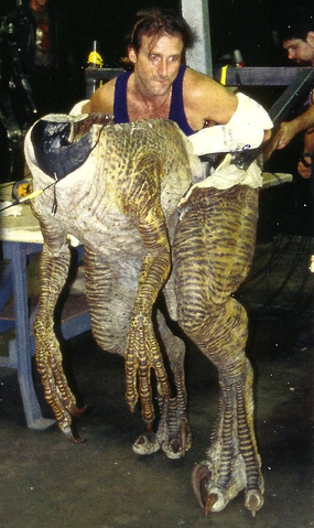 File:Scan Pic0005.png