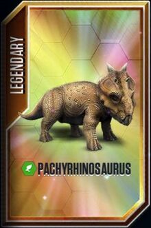 Pachyrhinosaurus.jpeg