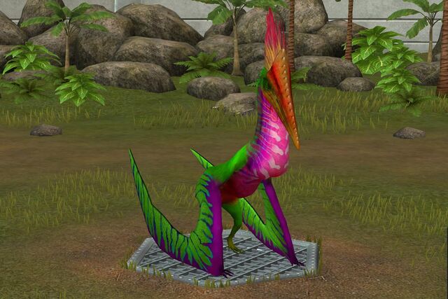 File:Pelecanipteryx (14).jpg
