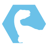 파일:Velociraptor-header-icon.png