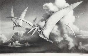 Pteranodon artjp.jpg