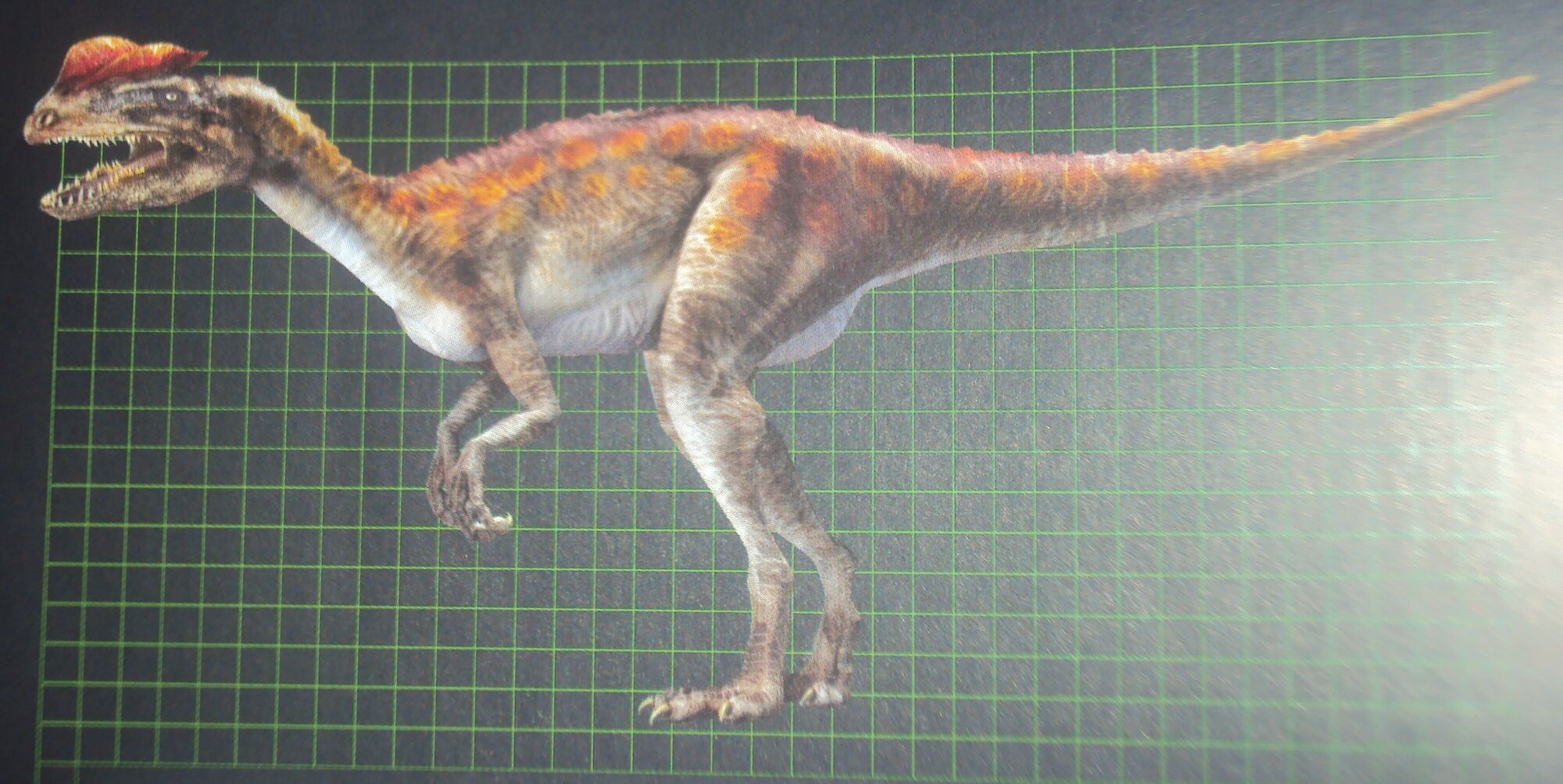 Image - Dilophosaurus in the Field Guide to Dinosaurs.JPG | Jurassic Park wiki | FANDOM powered