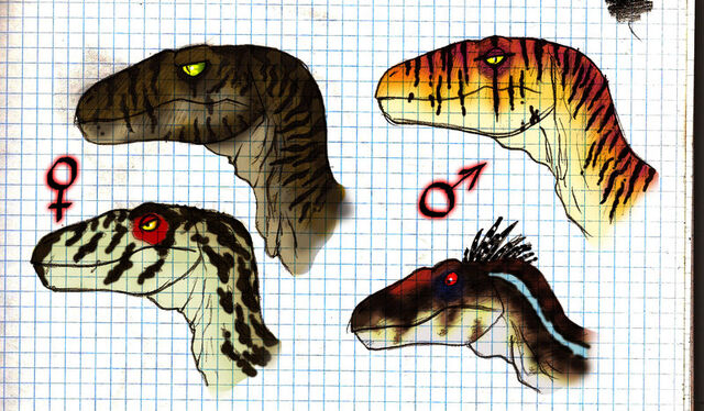 File:JP RAPTORS by JELSIN.jpg