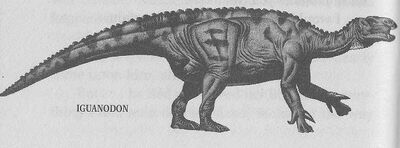 Iguanodon.jpeg