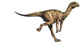 Heterodontosaurus.jpg