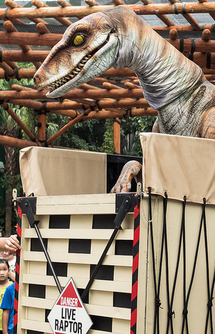 File:Patsy Raptor.png