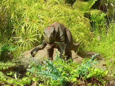Psittacosaurus411px-JP