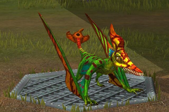 File:Rhamphorhynchus (18).jpg