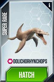 Dolichorhynchops-0-0