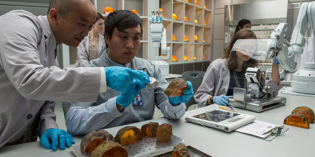 File:Creation-lab-employees-inspecting-amber.jpg