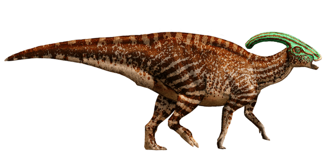 File:Parasaurolophus-detail-header.png