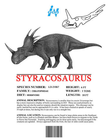 File:Sm ingen styracosaurus.jpg