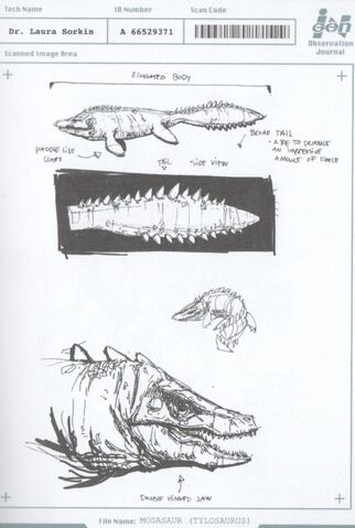 File:Tylosaurus.jpg