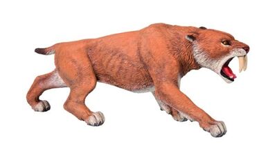 Paposmil2.jpg