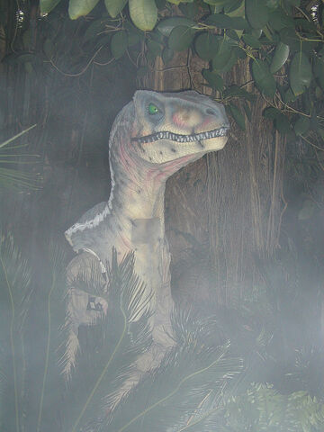File:Velohhn.jpg