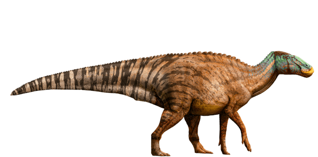 File:Edmontosaurus-detail-header.png