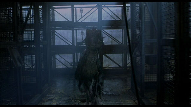 File:RaptorComing.jpg