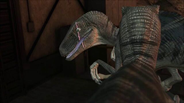 File:Scarred-raptor-leader-jptg 14.jpg