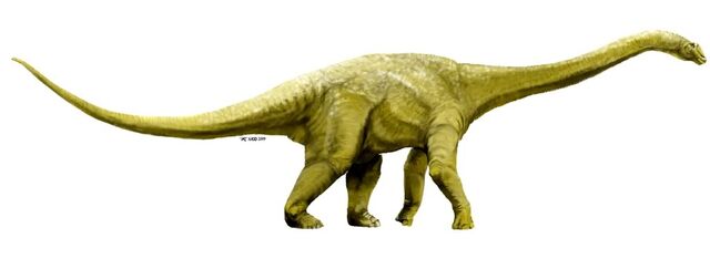 File:Wintonotitan.jpg