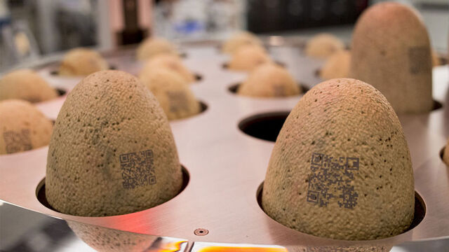 File:Eggs.jpg