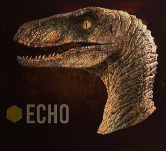 Raptor_squad_Echo_header_icon.jpg