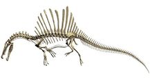 Dinosaur-Spinosaurus-semiaquatic-teznewsonline.jpg