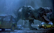 Jp rex